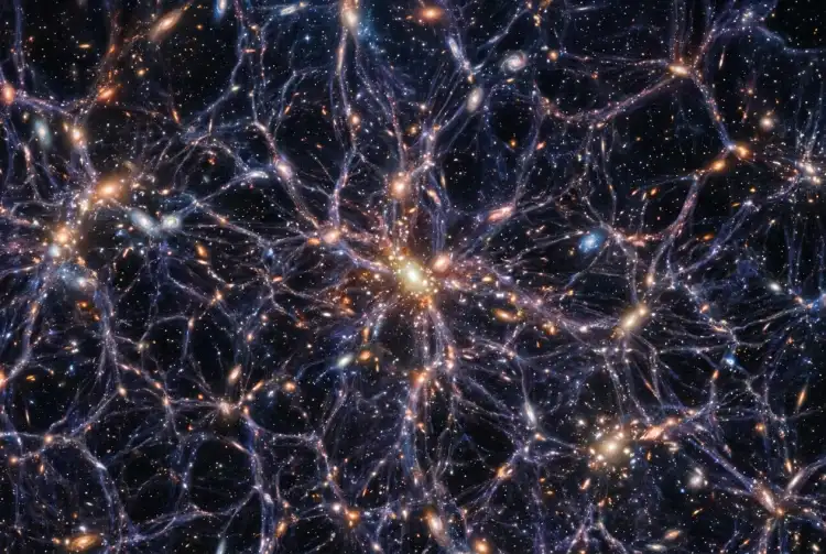 Is the Universe a Living Organism?