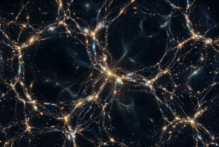 Cosmic Voids: Do They Hide Unseen Structures?