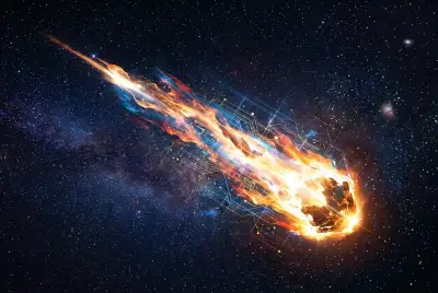 Are Some Meteorites Alien Tech?