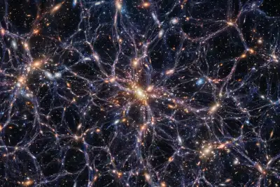 Is the Universe a Living Organism?